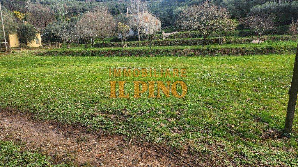Terreno agricolo Vicopisano PI,, Vicopisano