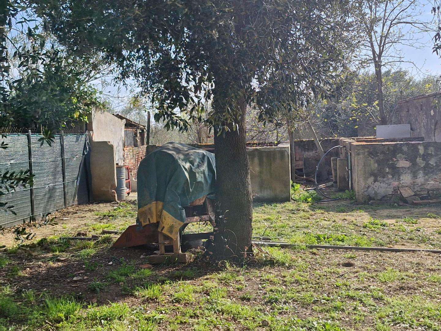  - foto 45