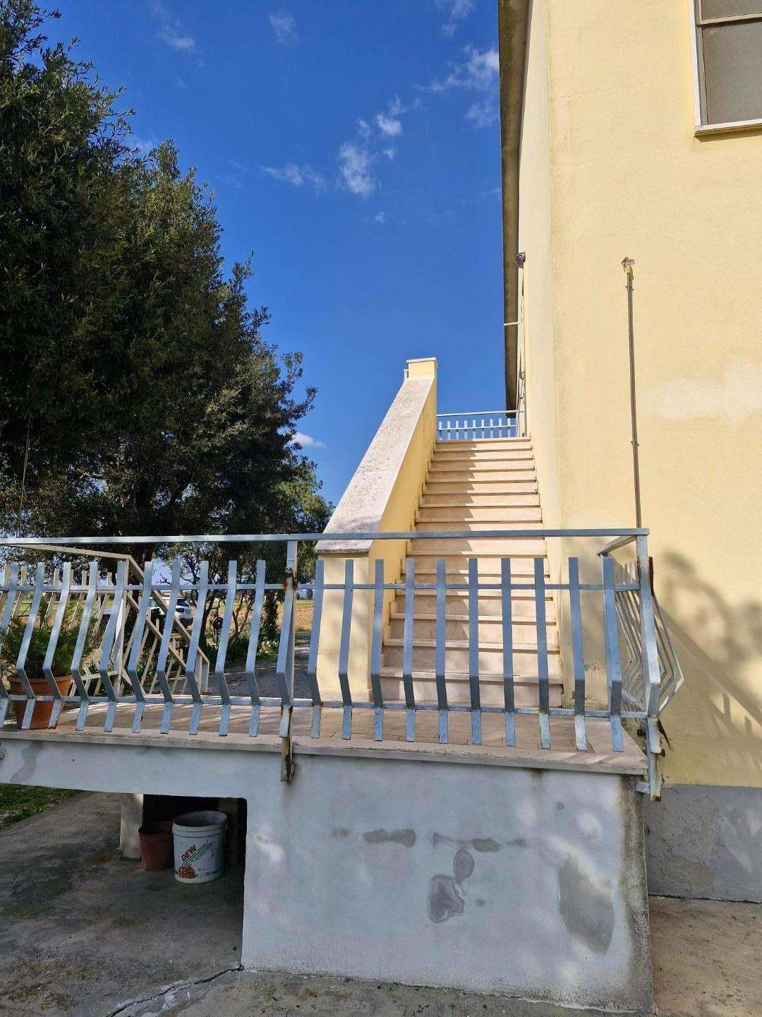  - foto 50