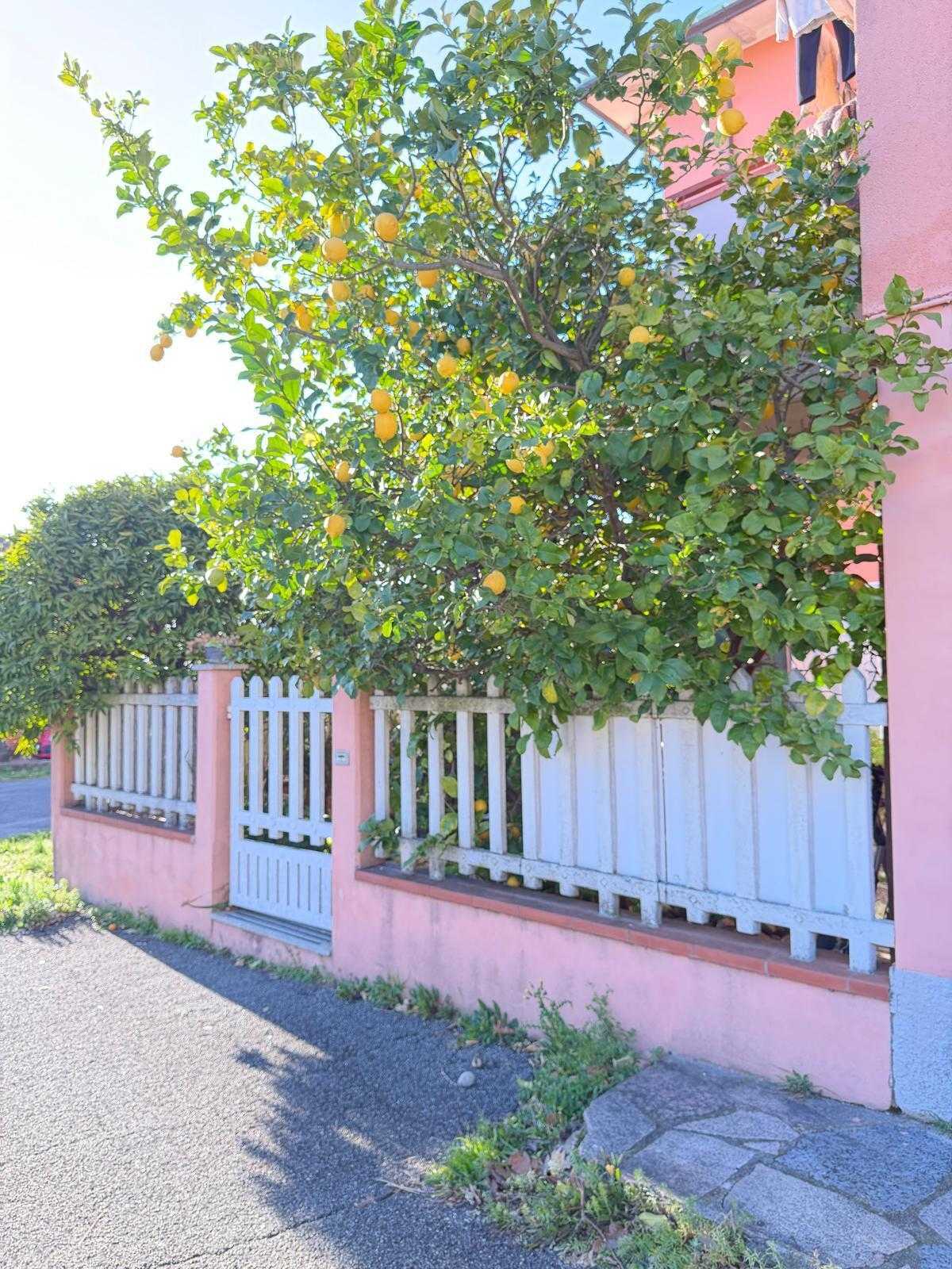  - foto 30