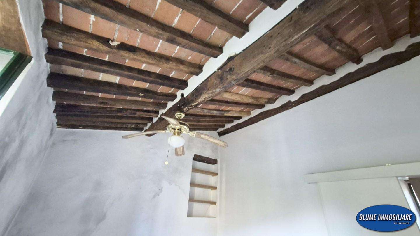  - foto 64