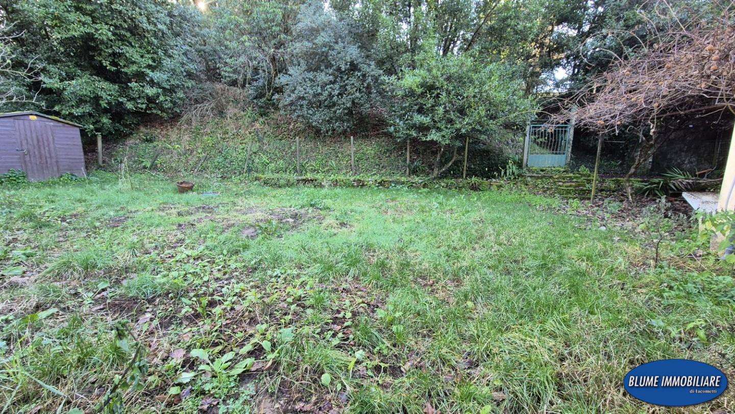  - foto 97