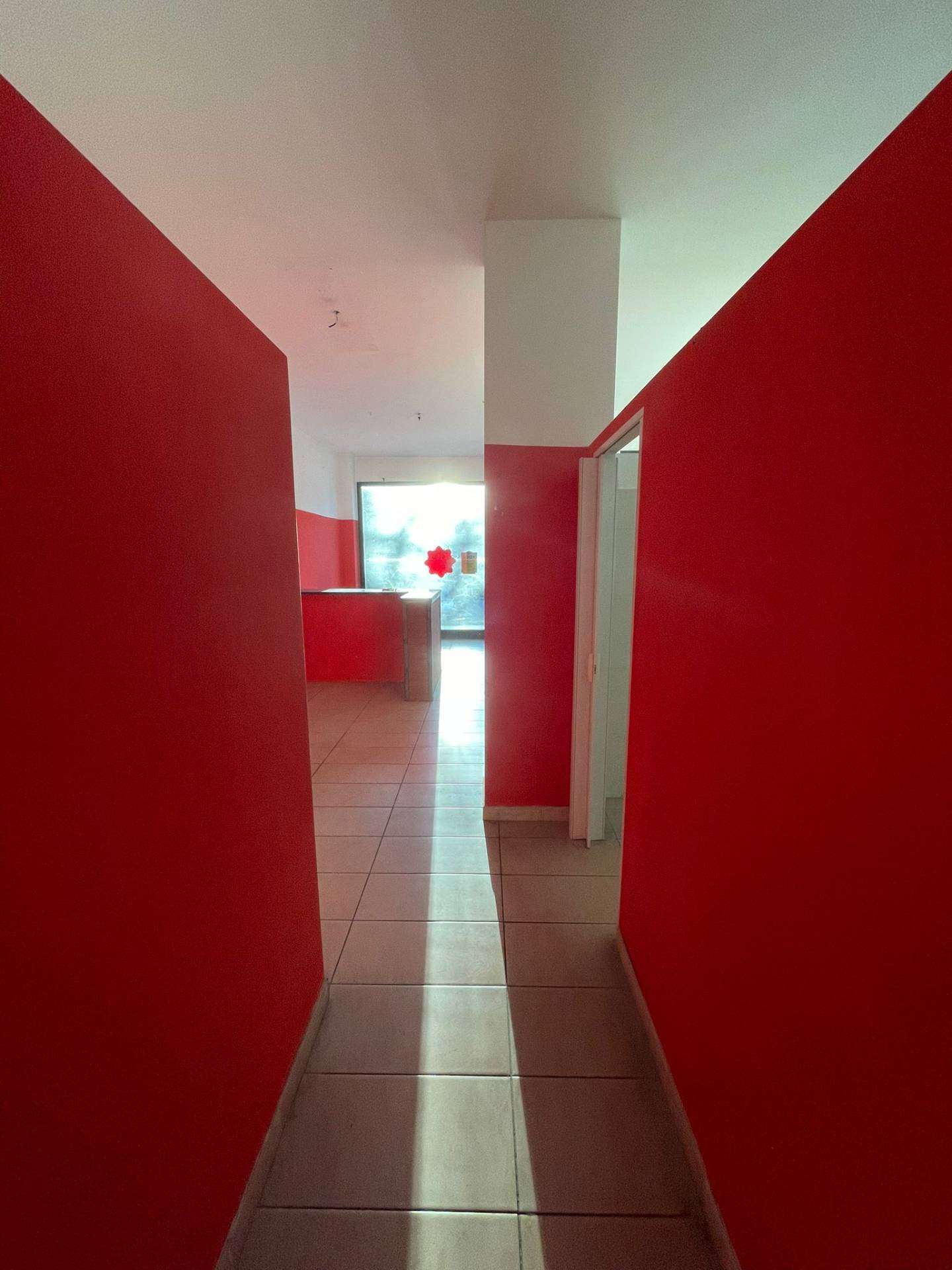  - foto 5