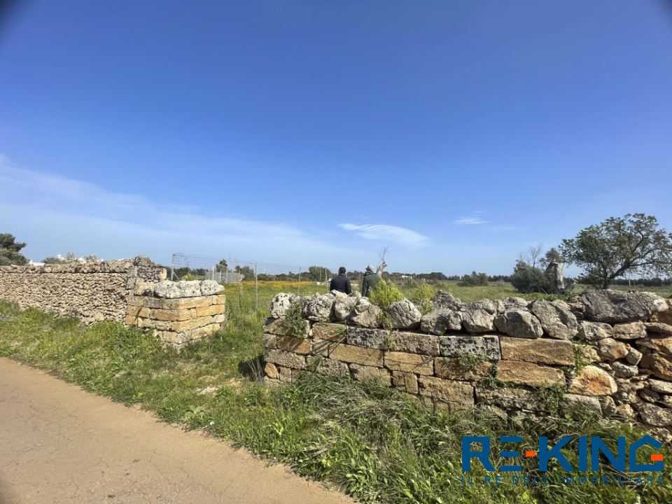 Terreno agricolo Contrada Orelle, Galatone