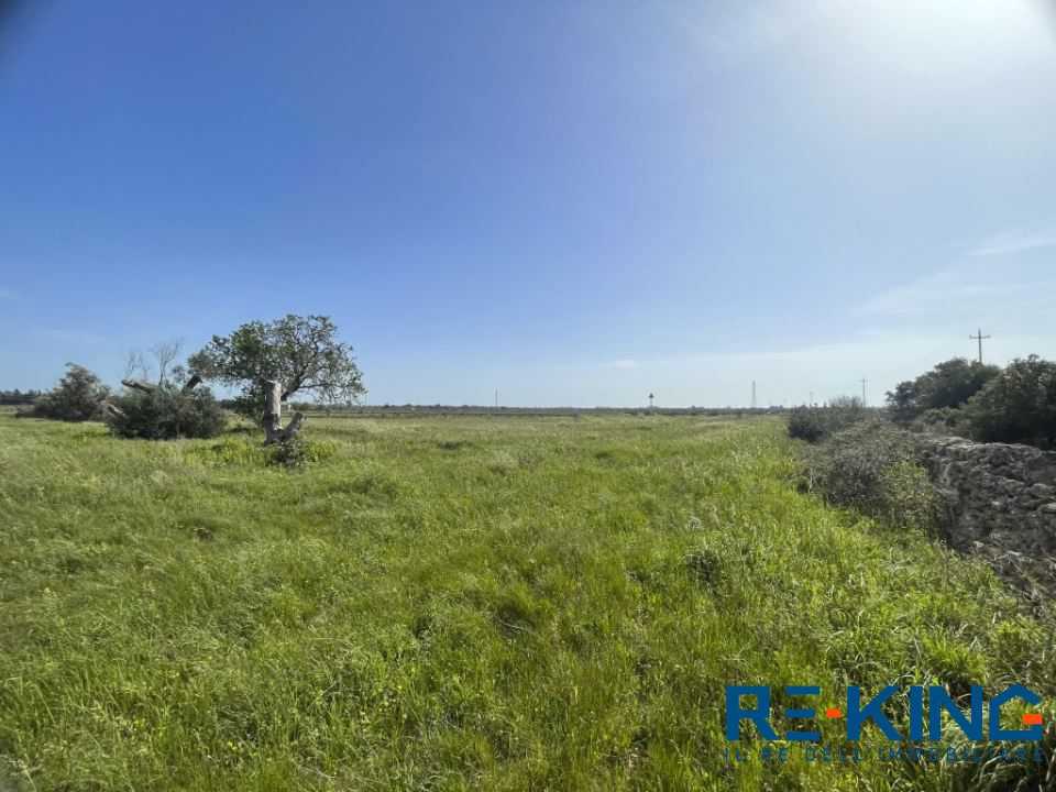  - foto 6