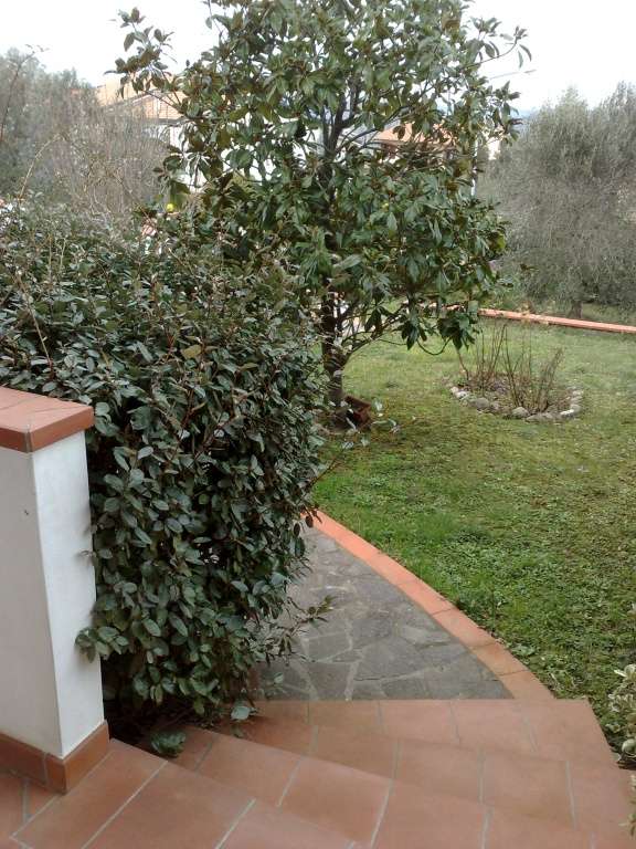  - foto 11