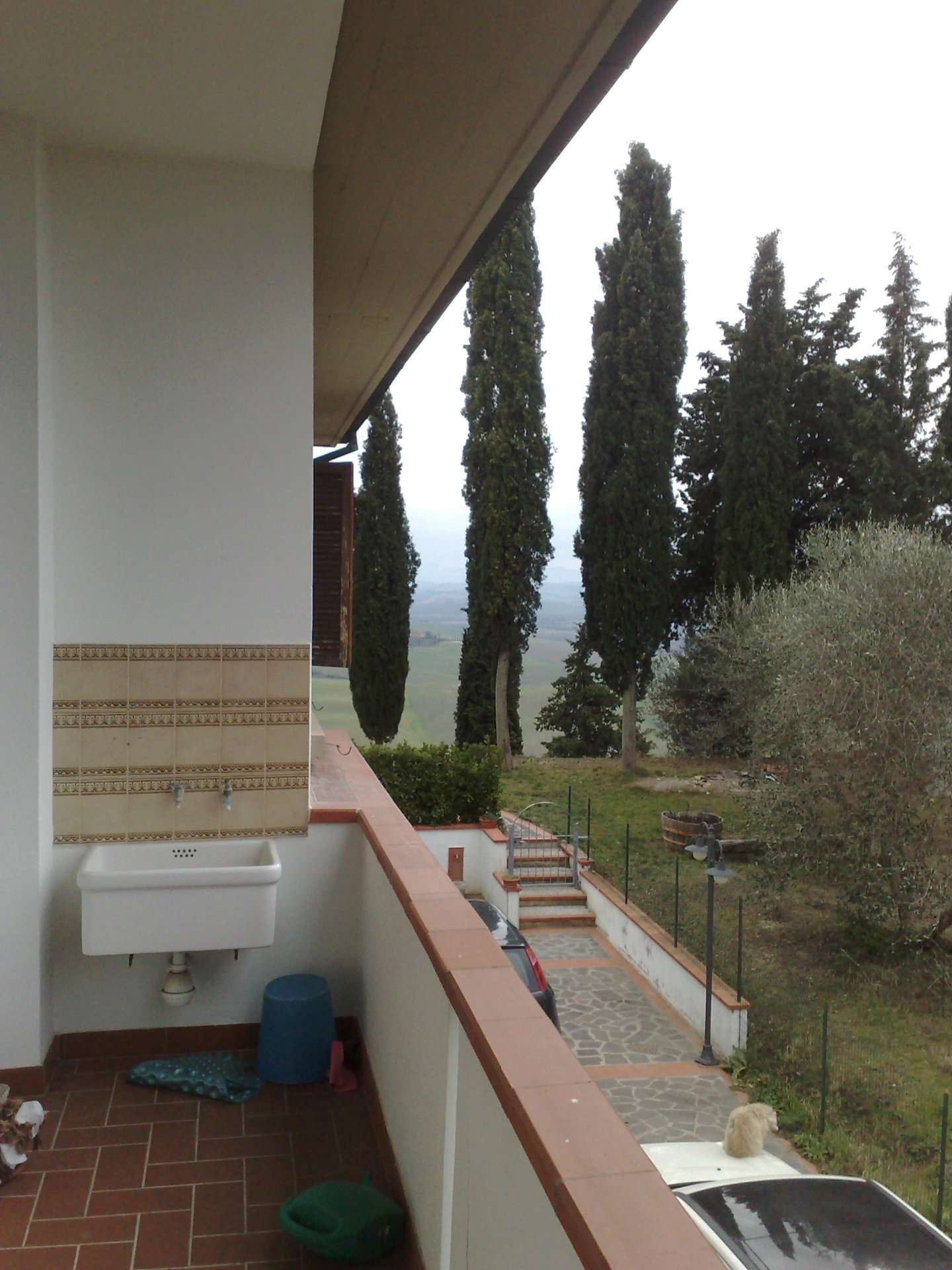  - foto 13