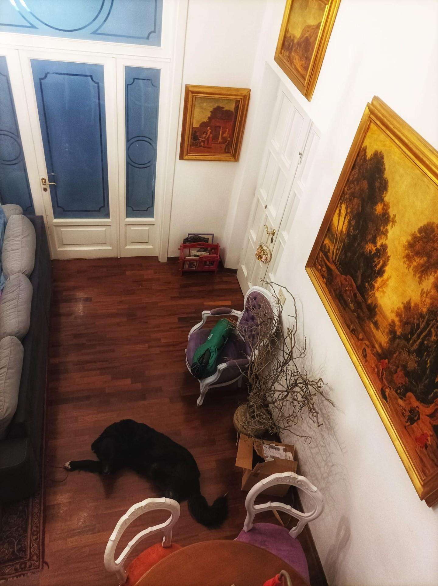  - foto 6