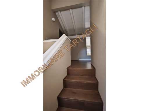  - foto 29