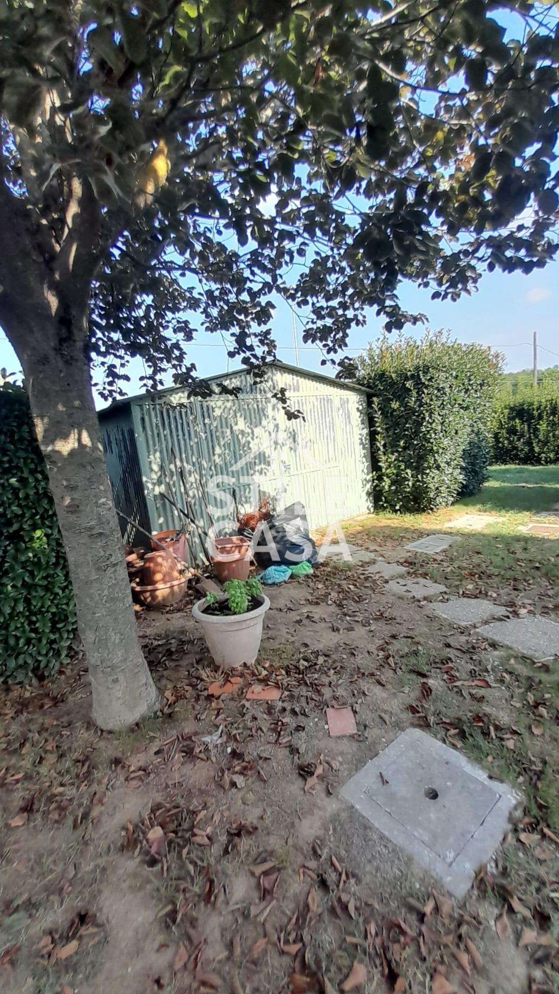  - foto 42