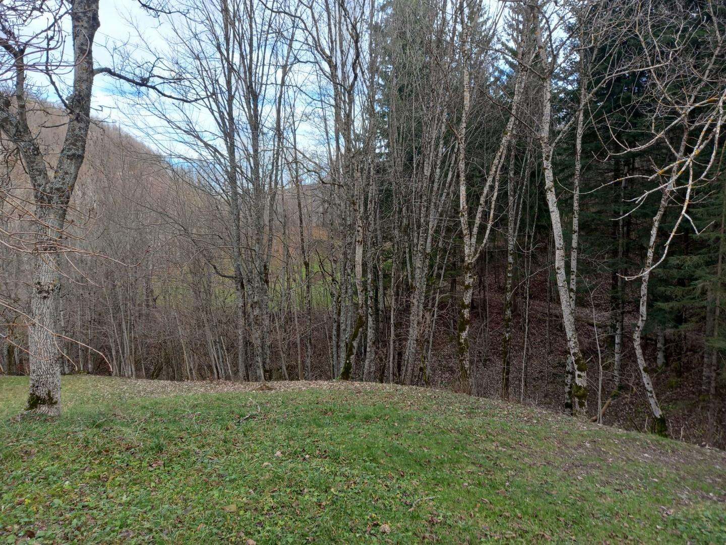  - foto 2