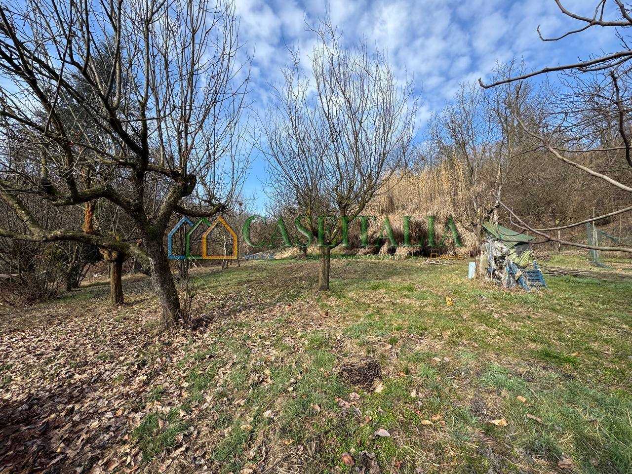  - foto 37