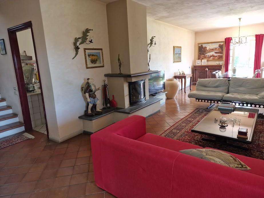  - foto 6