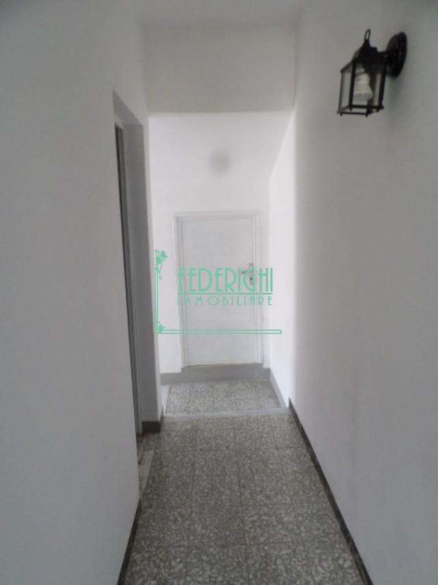  - foto 13