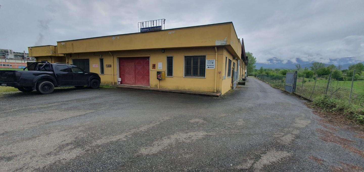 Capannone, Porcari
