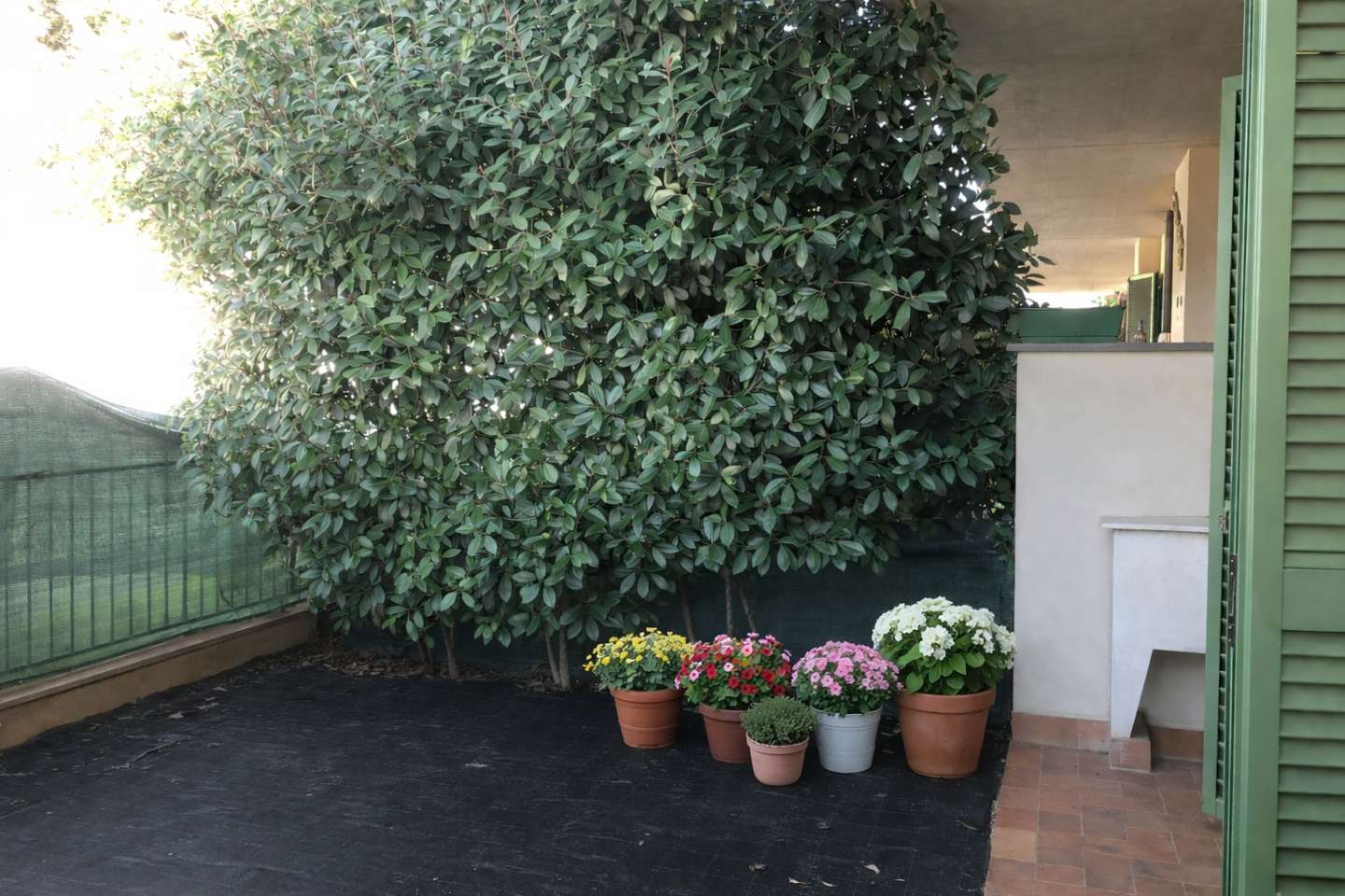  - foto 6