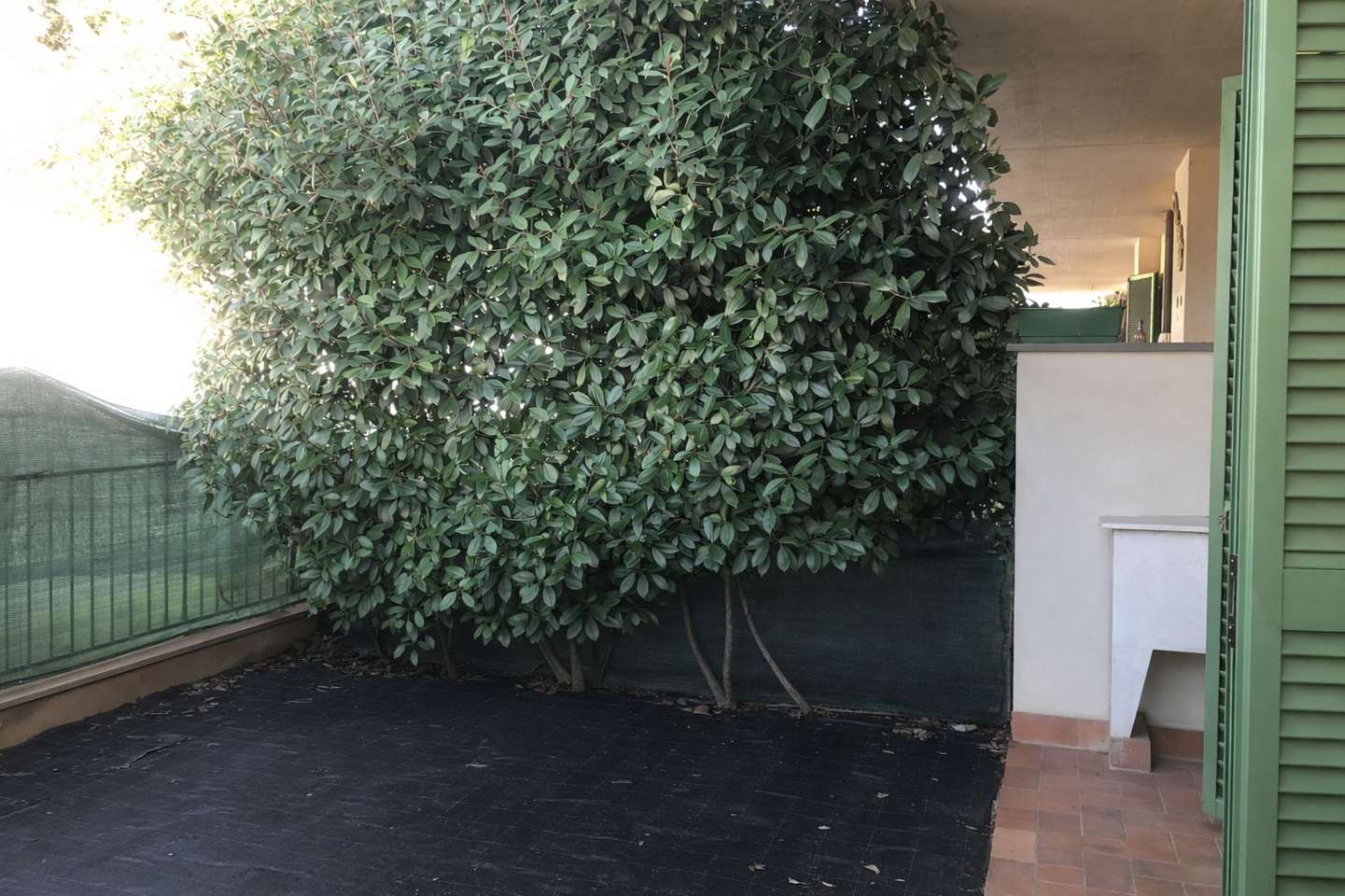  - foto 7