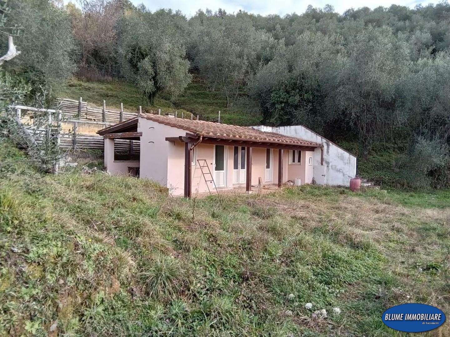  - foto 28