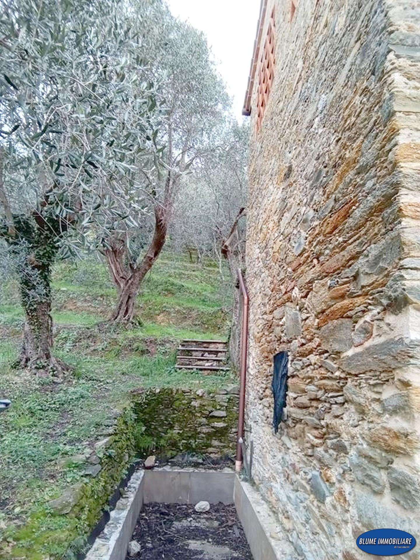  - foto 6