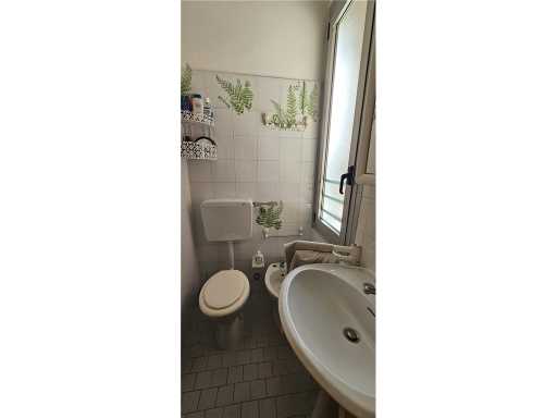  - foto 13