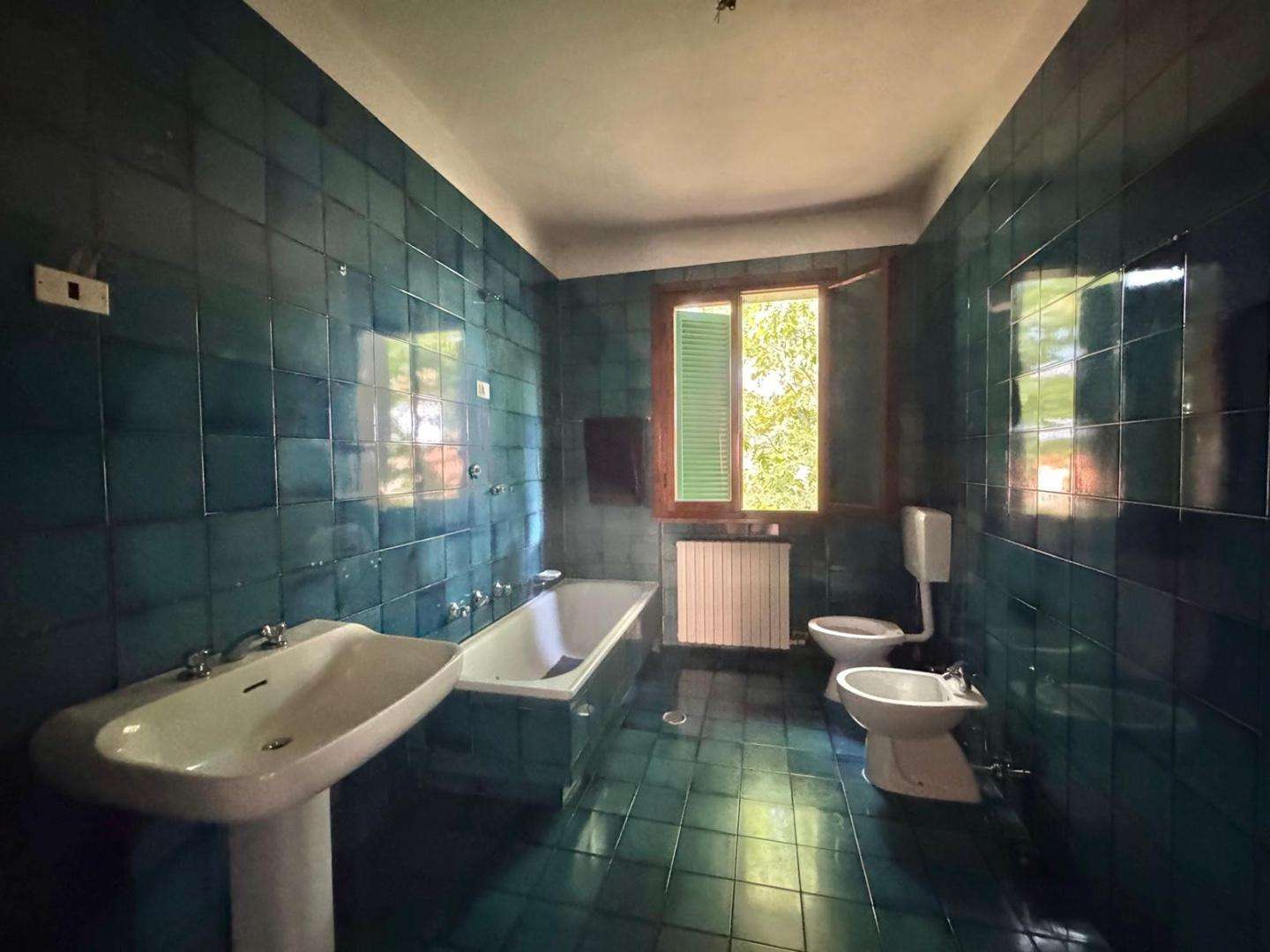  - foto 12