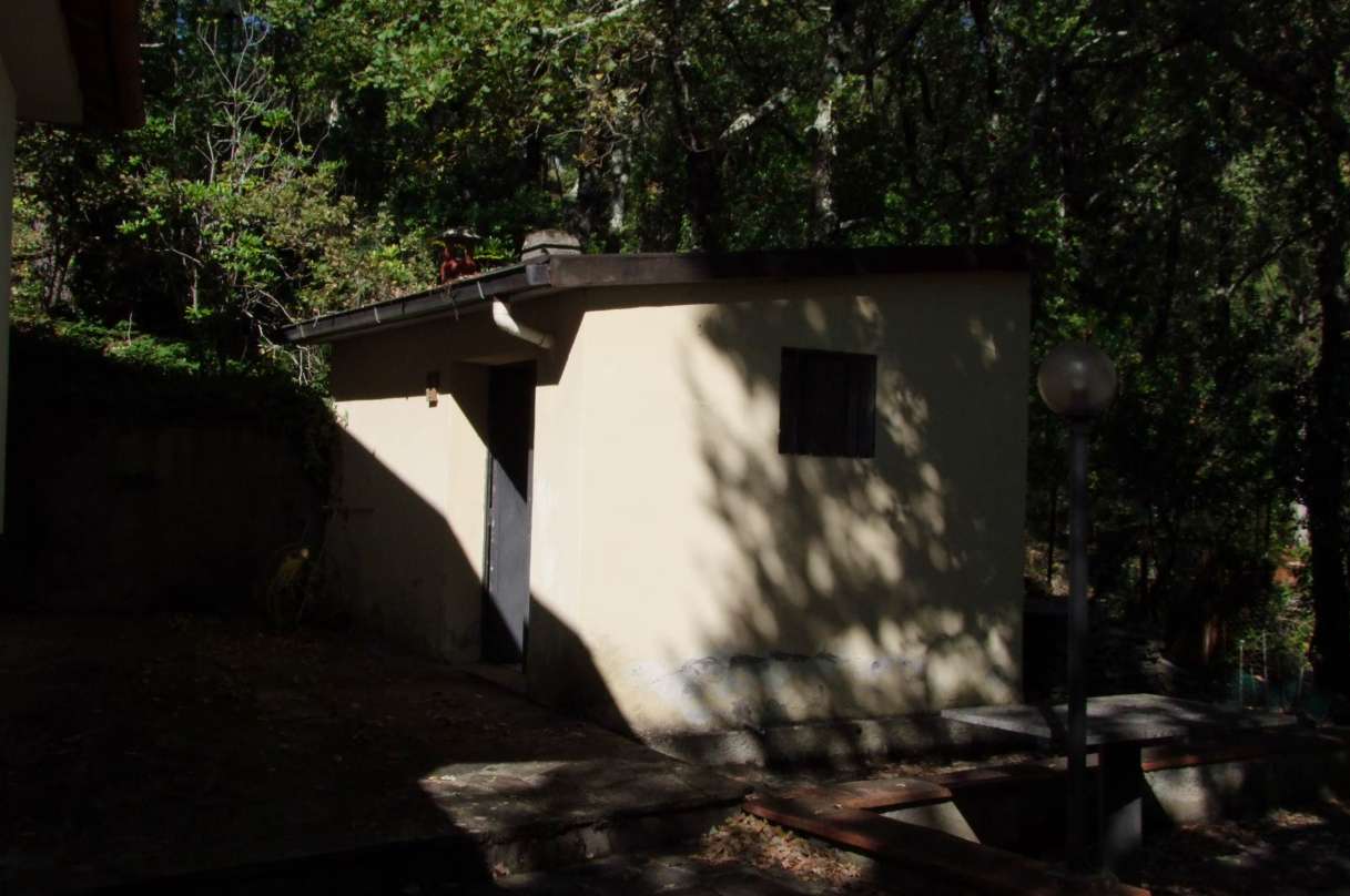  - foto 29