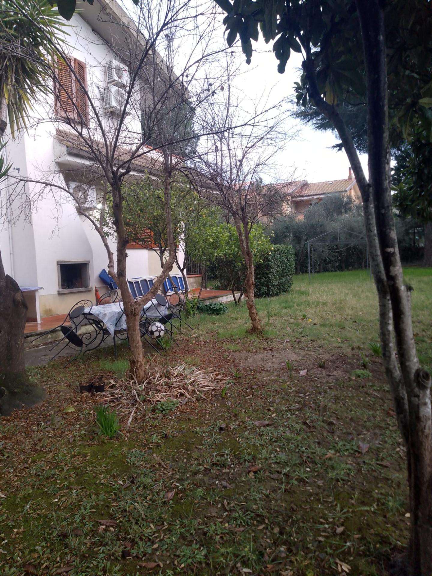  - foto 5