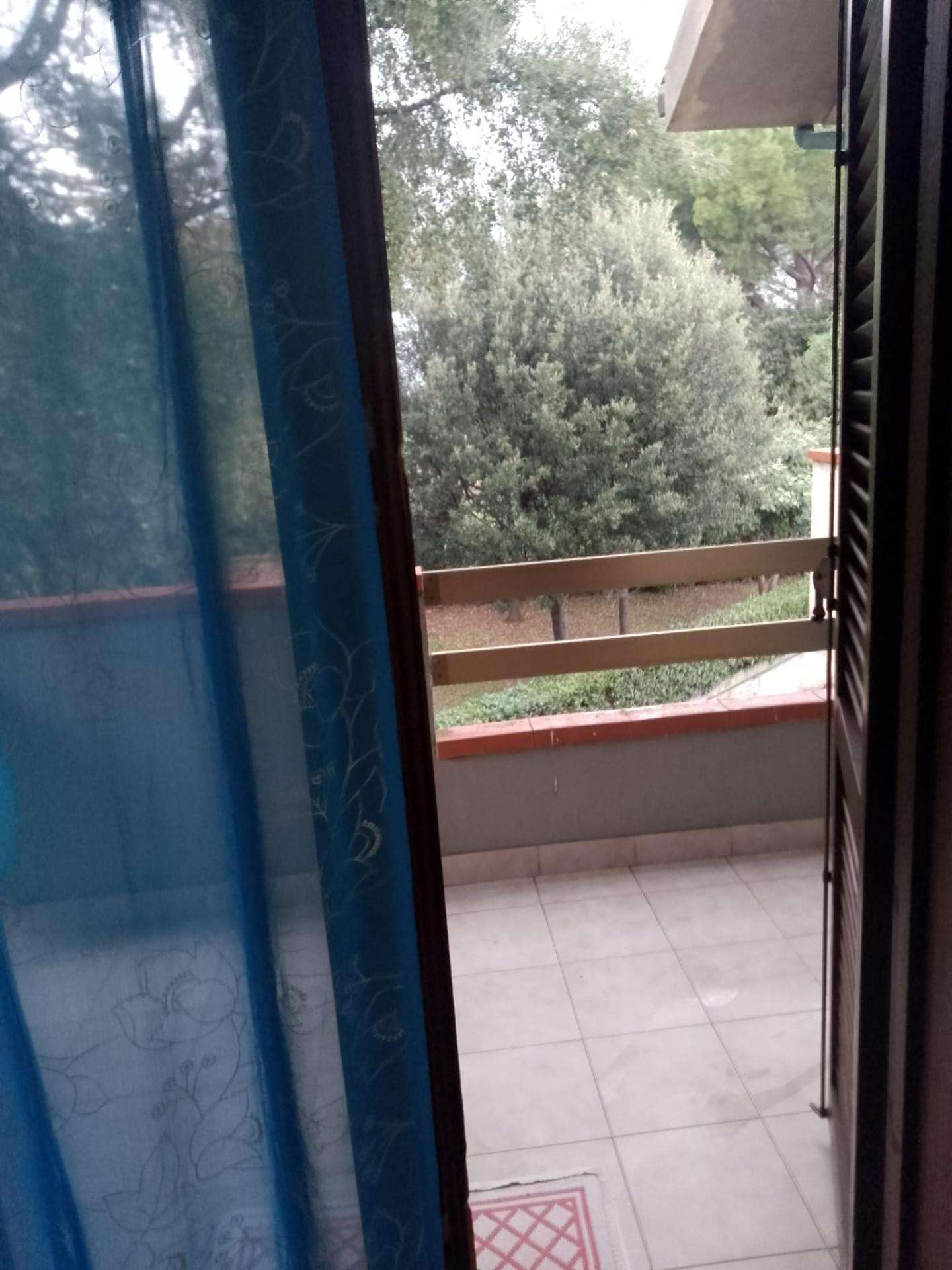  - foto 65