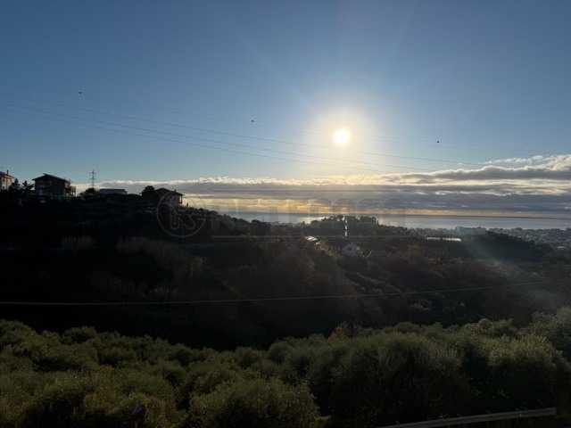  - foto 13