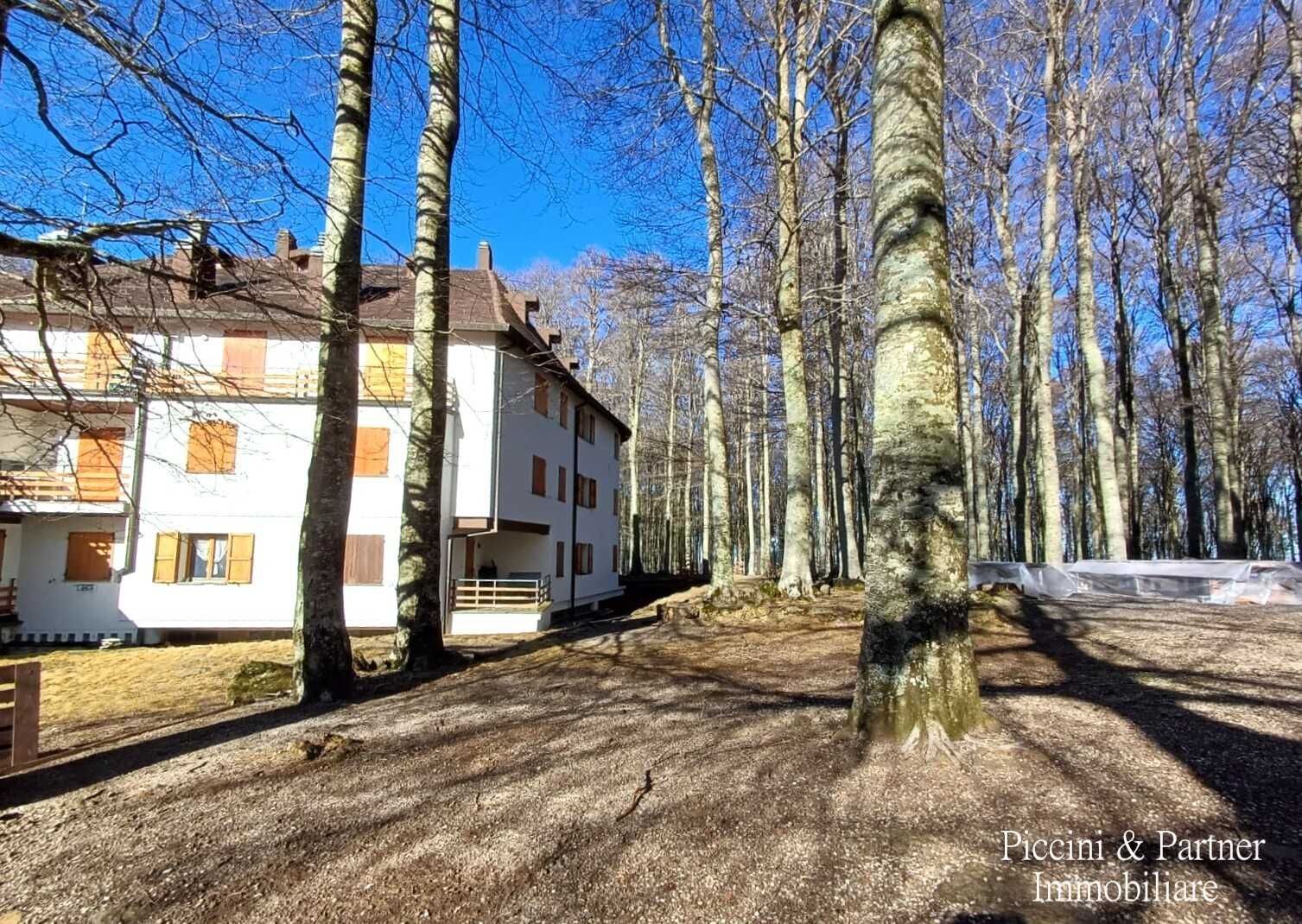  - foto 34