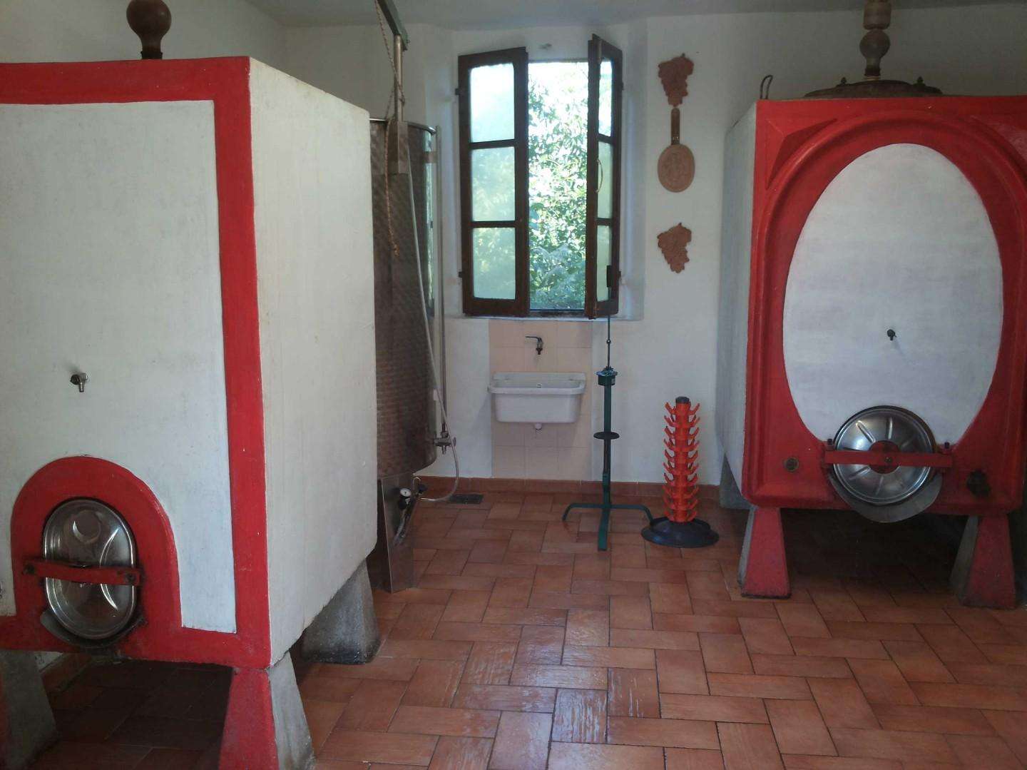 - foto 11