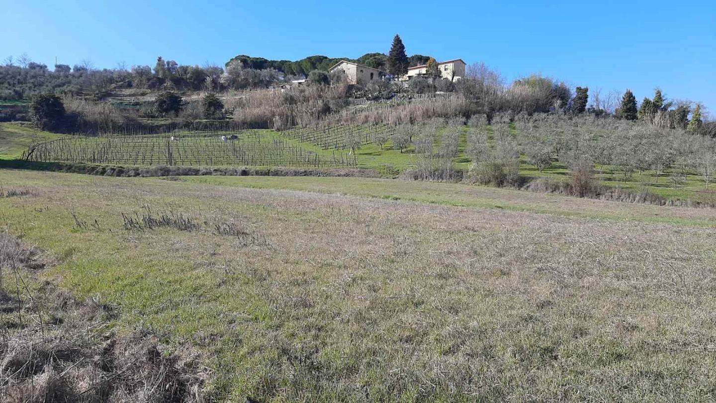  - foto 14