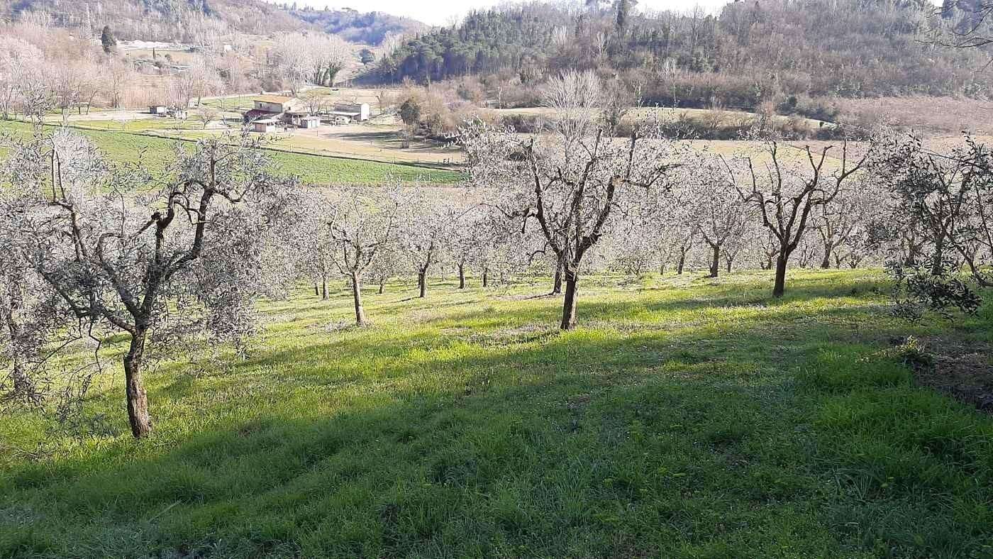  - foto 17