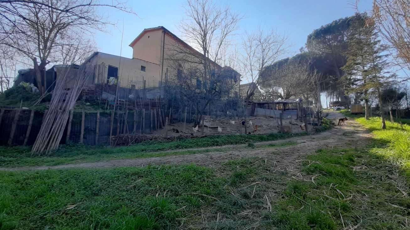  - foto 4