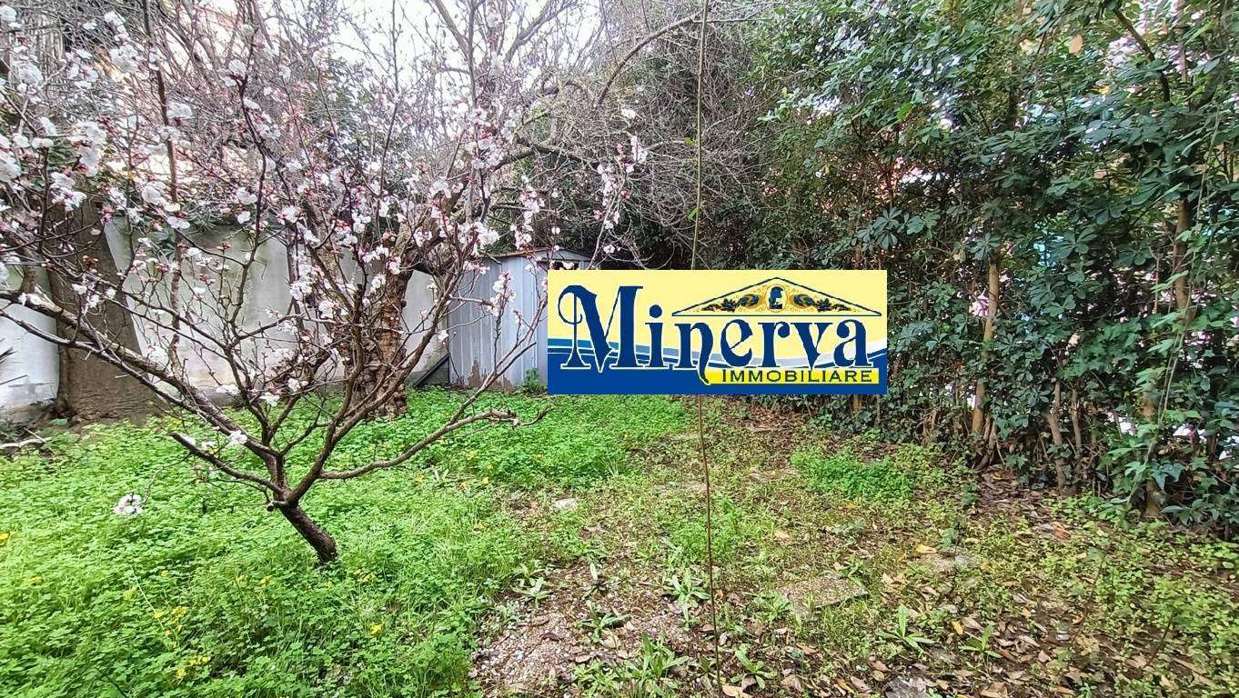  - foto 38