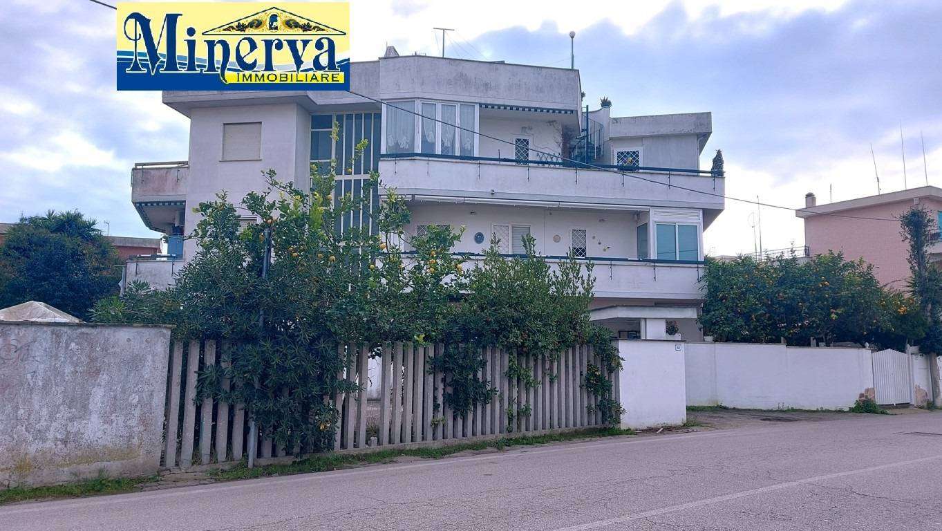  - foto 4
