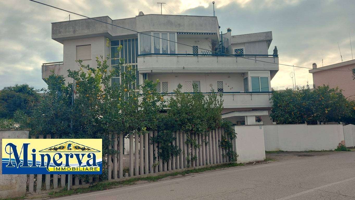 - foto 5
