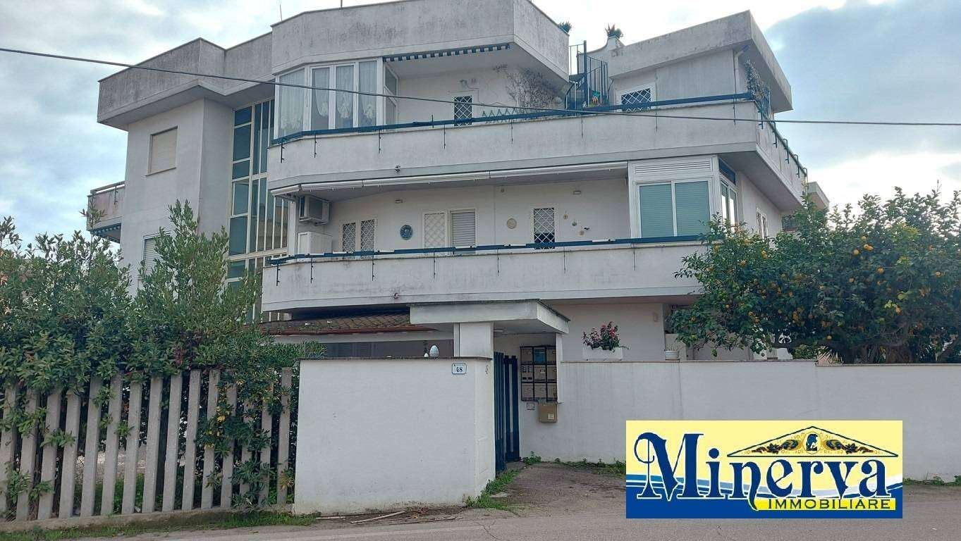  - foto 6