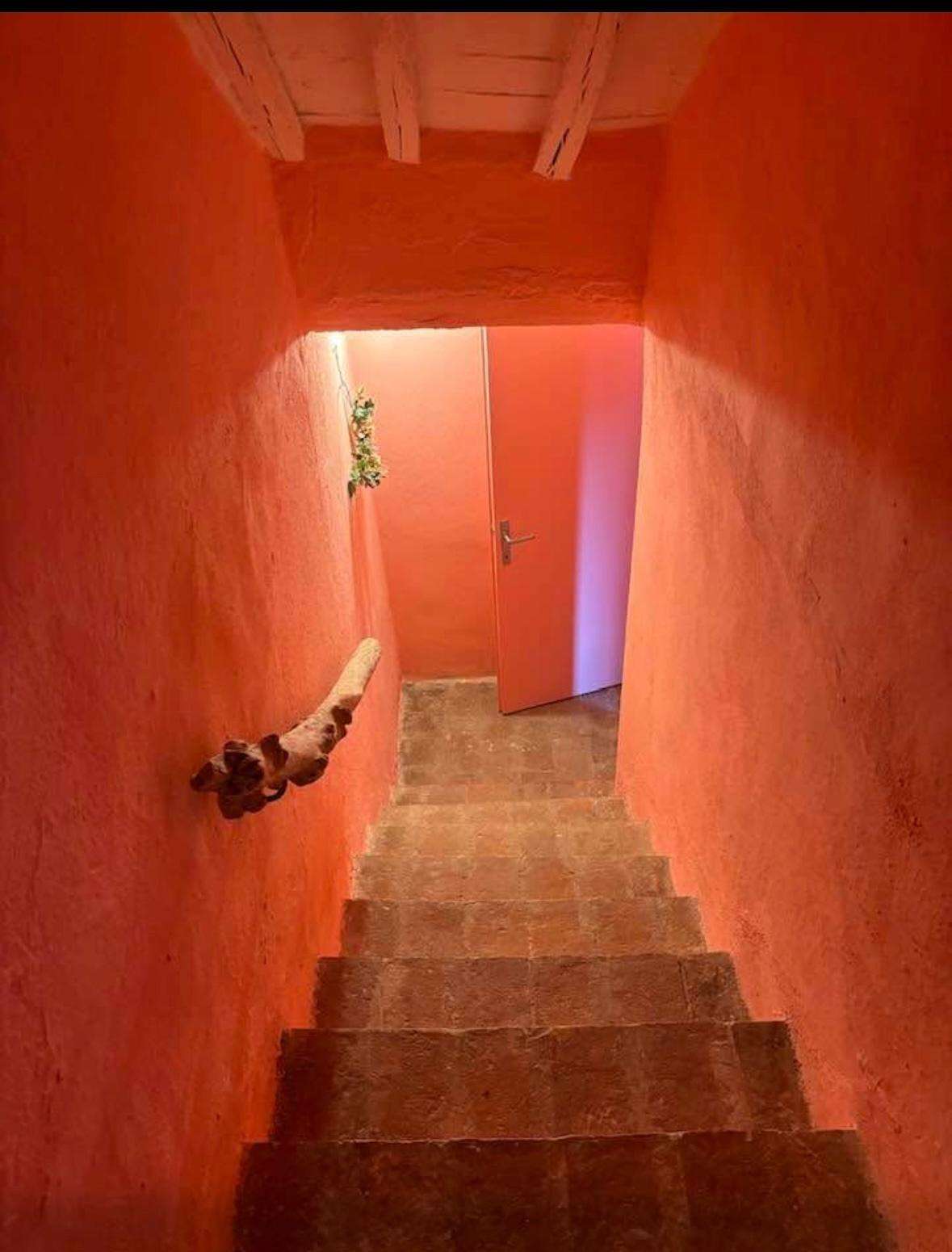  - foto 63