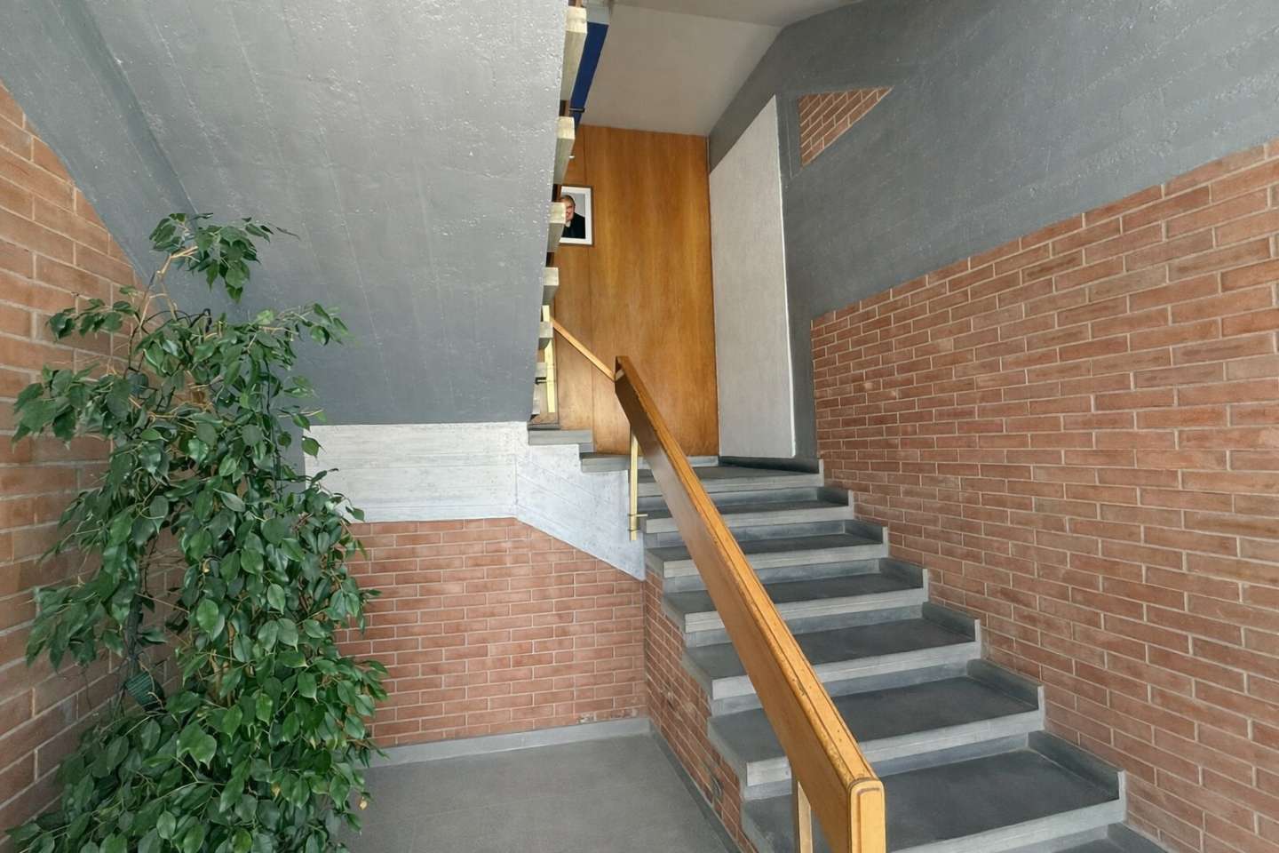  - foto 10