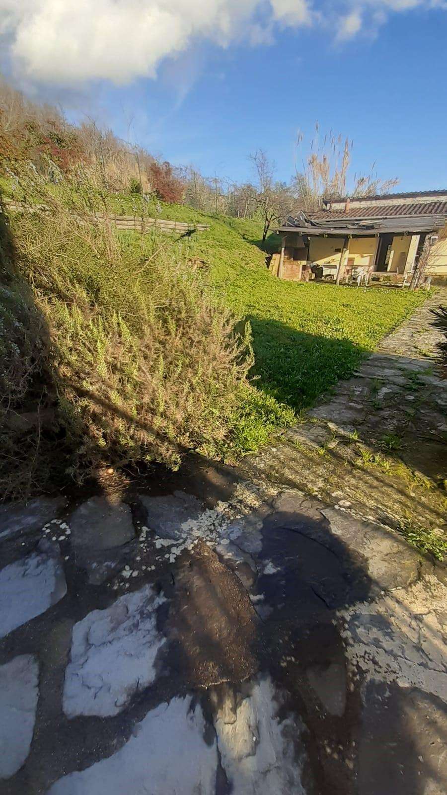  - foto 9
