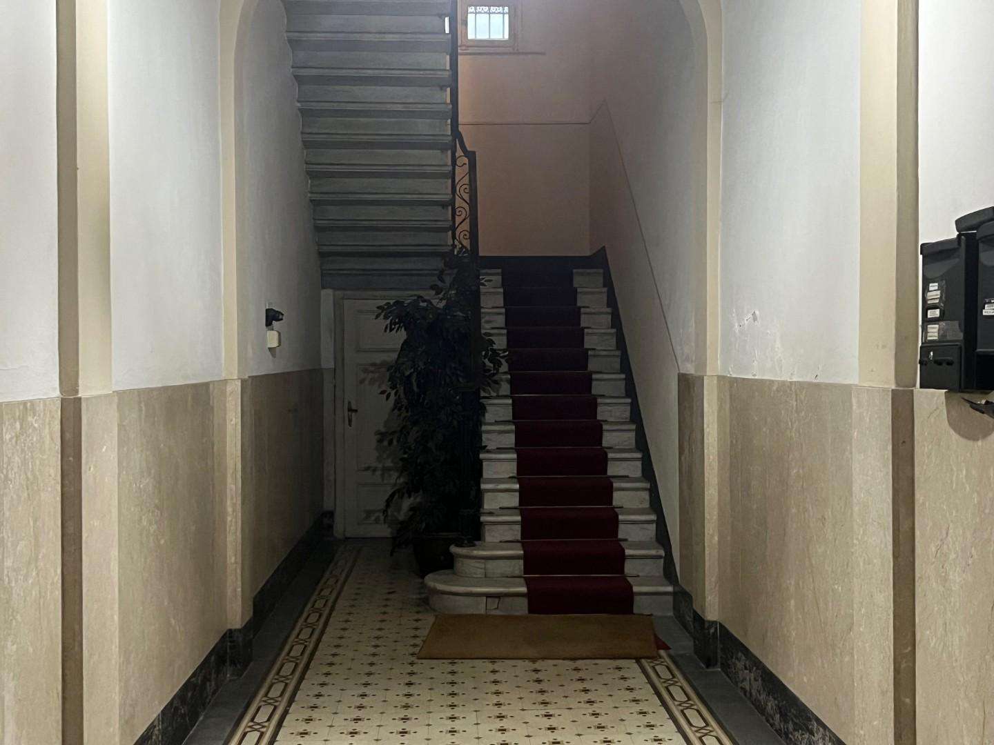  - foto 13