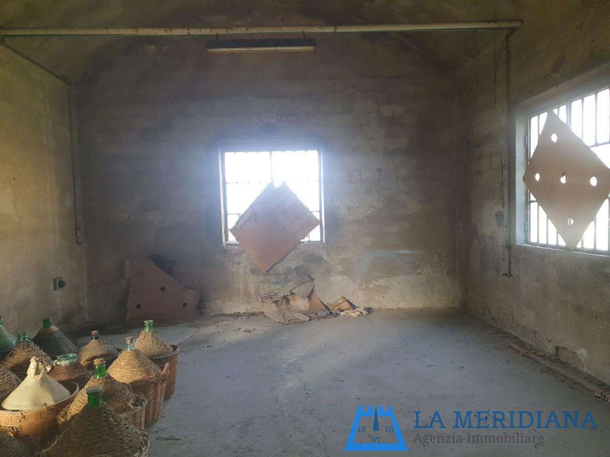  - foto 6