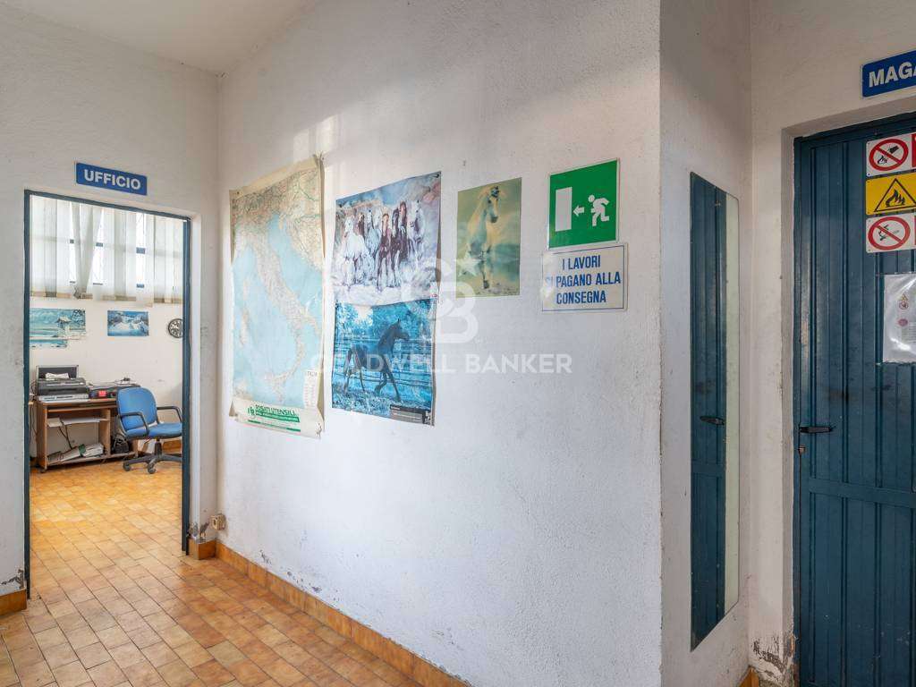  - foto 10