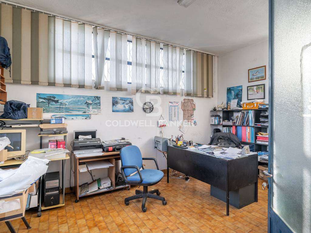  - foto 11