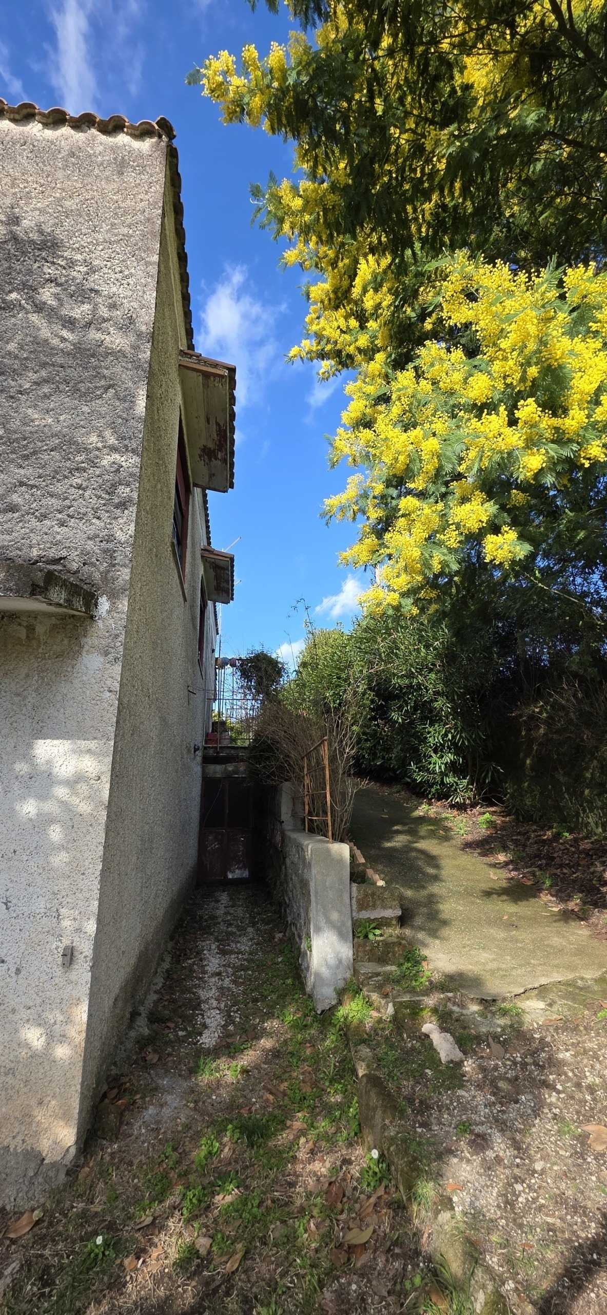  - foto 96