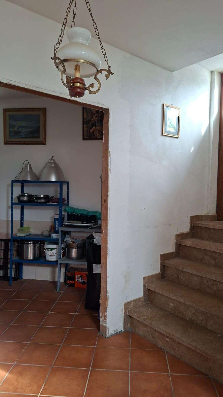  - foto 11