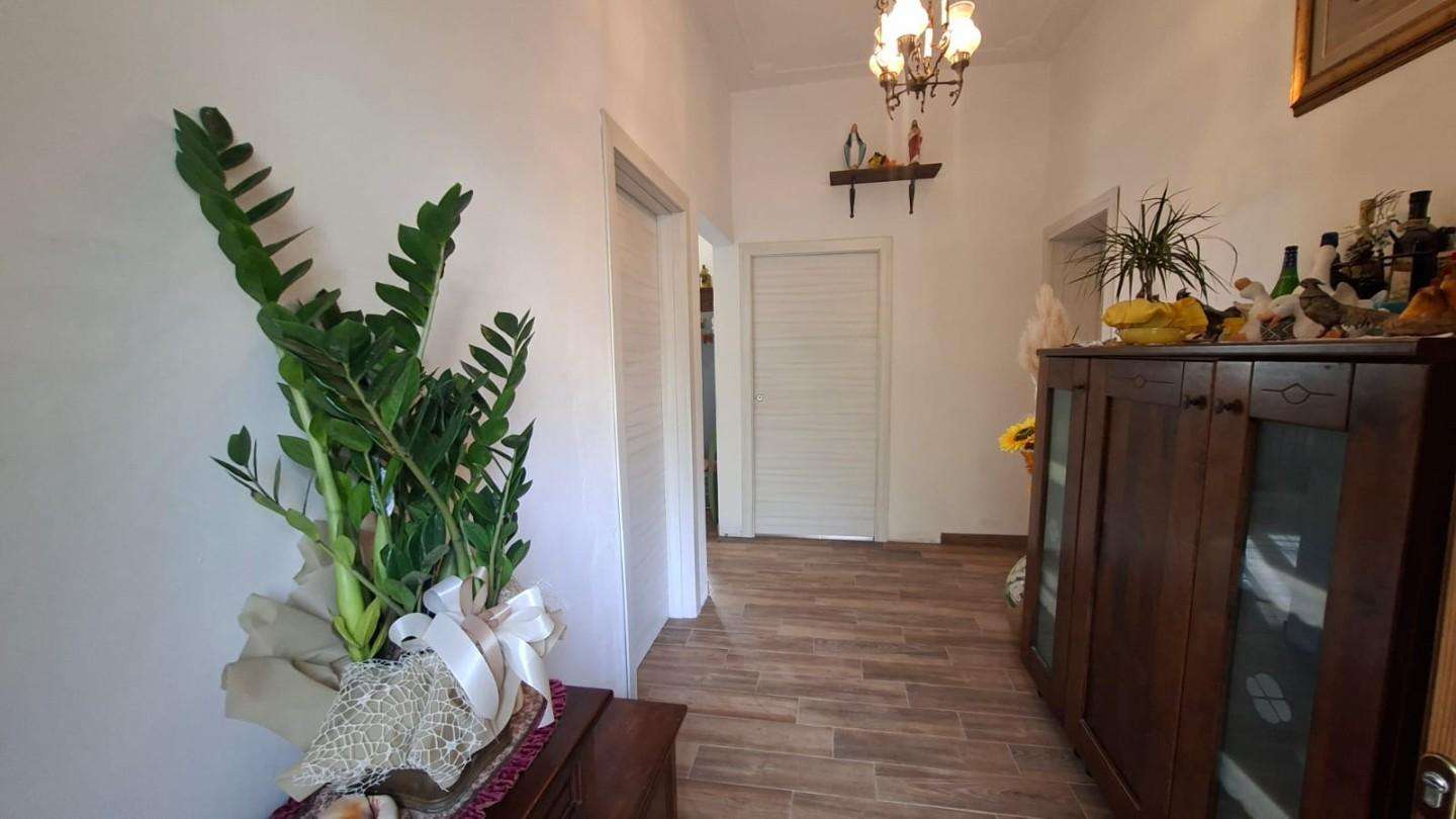  - foto 13