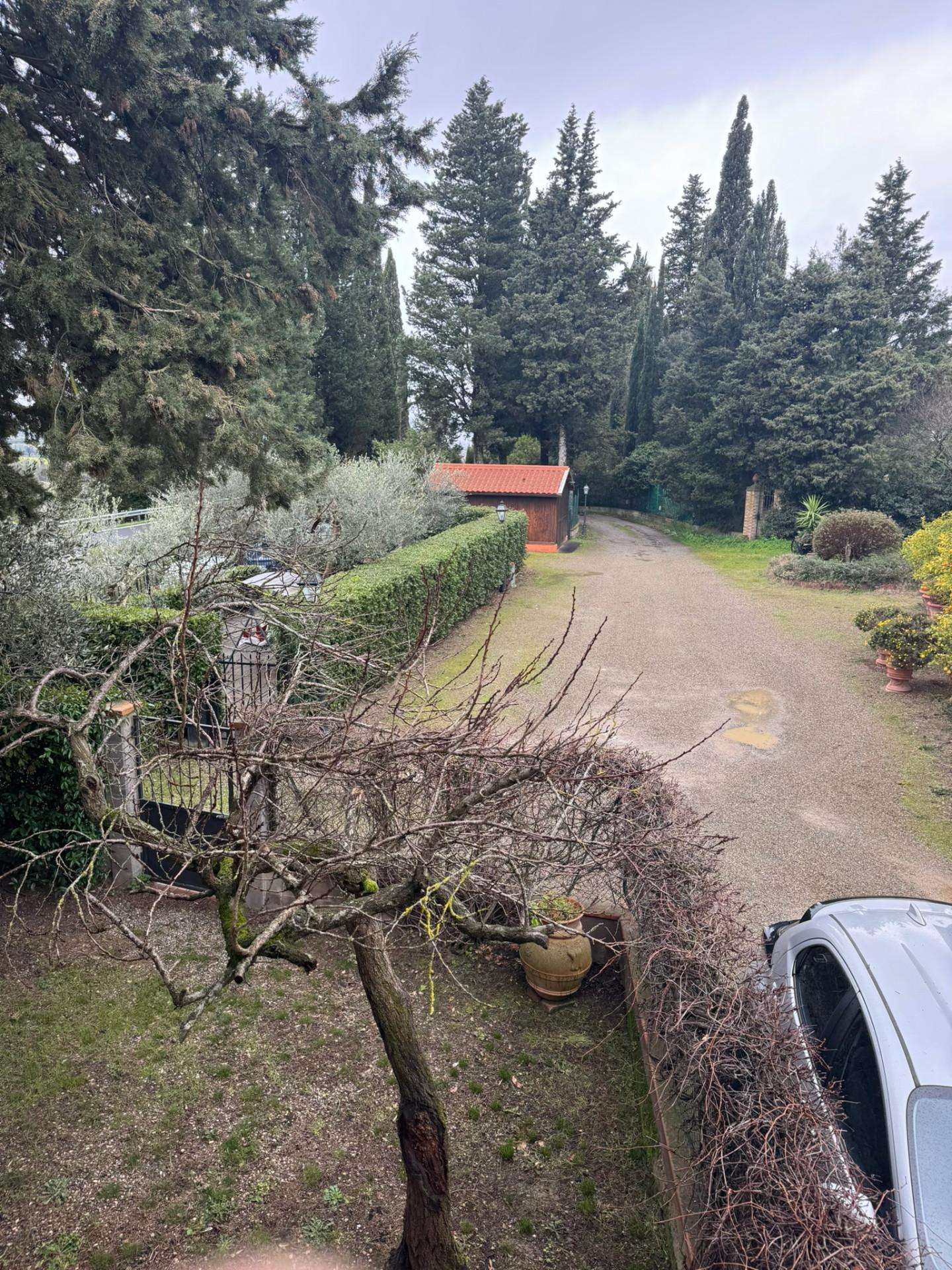  - foto 11