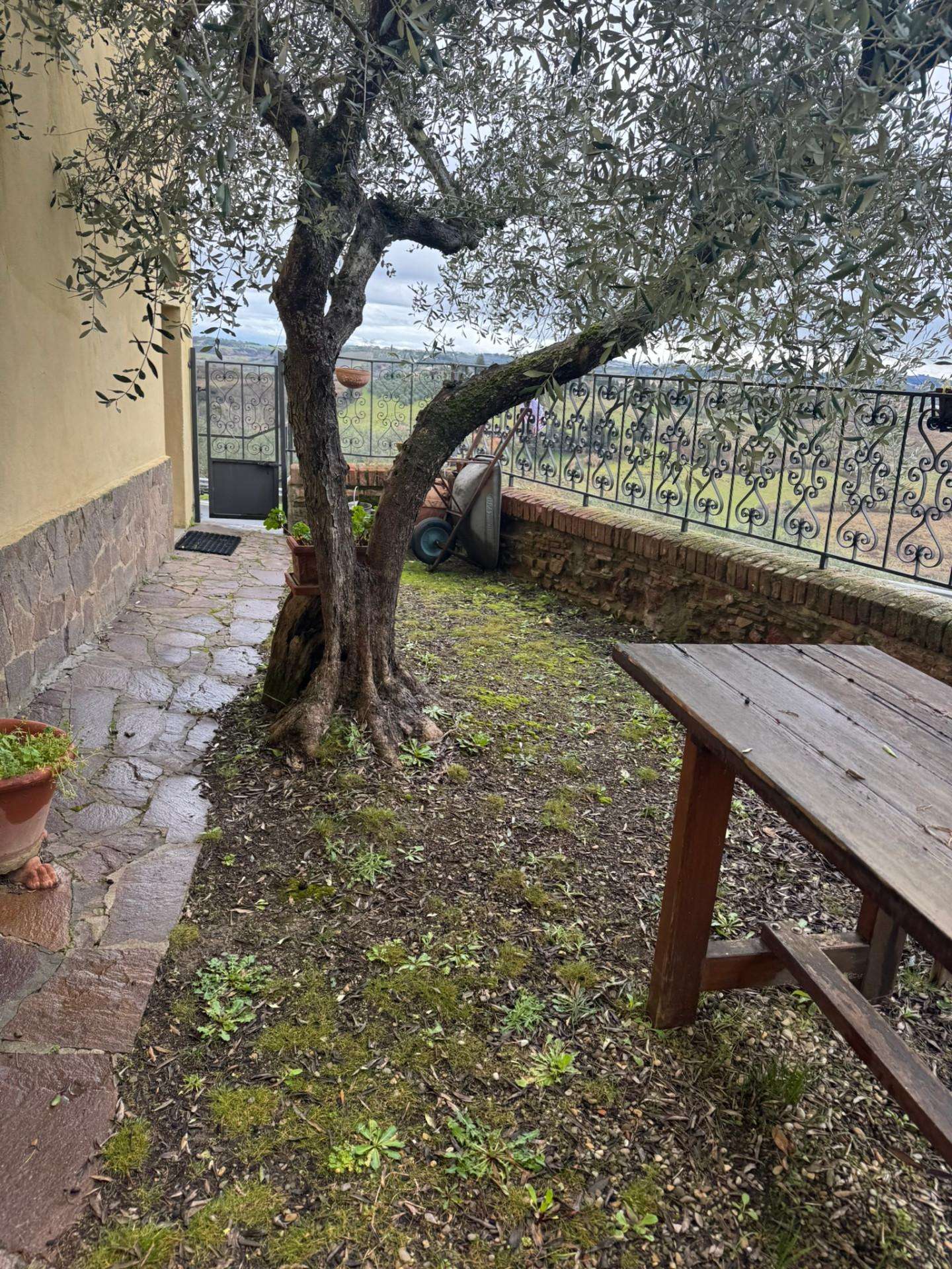  - foto 14